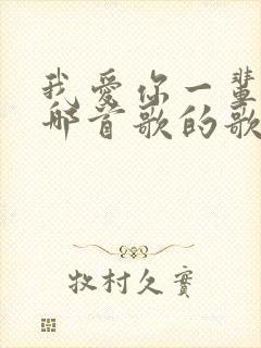 我爱你一辈子是哪首歌的歌词