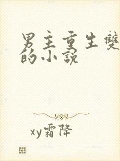 男主重生双男主的小说