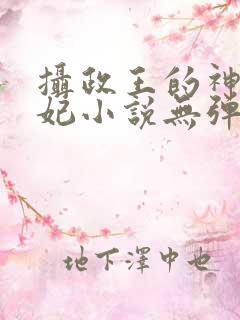 摄政王的神医狂妃小说无弹窗