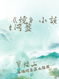 《烧》小说txt网盘