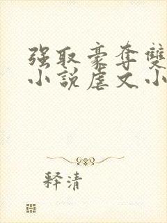 强取豪夺双男主小说虐文小说推荐