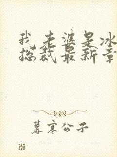 我老婆是冰山女总裁最新章节小说