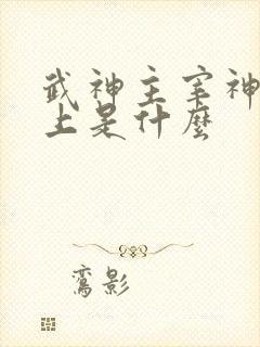 武神主宰神帝之上是什么