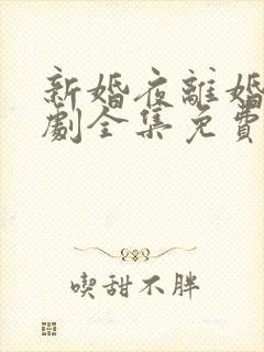 新婚夜离婚时短剧全集免费观看