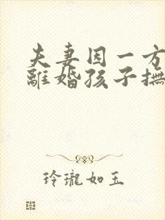 夫妻因一方出轨离婚孩子抚养权怎么判定