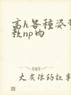 高h各种姿势调教np肉