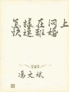 怎样在网上申请快速离婚