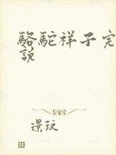 骆驼祥子完整小说