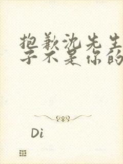 抱歉沈先生,孩子不是你的短剧免费