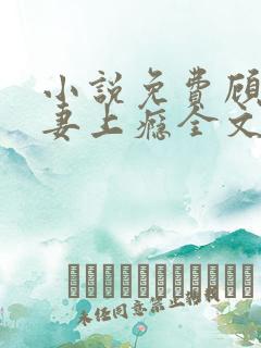 小说免费顾少宠妻上瘾全文阅读