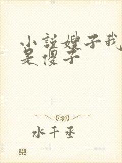 小说嫂子我真不是傻子