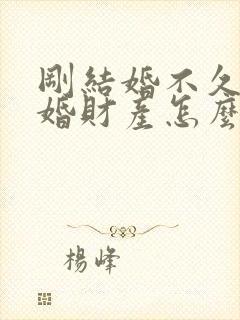 刚结婚不久就离婚财产怎么分