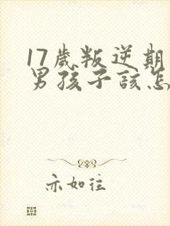 17岁叛逆期的男孩子该怎样去沟通教育