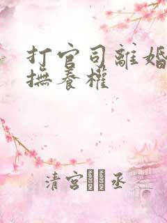 打官司离婚争夺抚养权