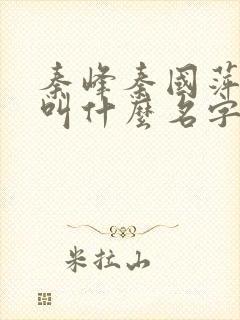 秦峰秦国萍小说叫什么名字