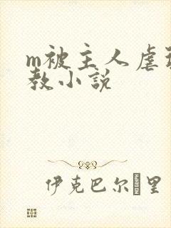 m被主人虐玩调教小说