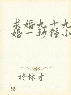 求婚九十九次离婚一秒钟小说