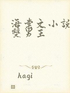 海棠文小说推荐双男主