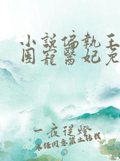 小说偏执王爷的团宠医妃免费阅读