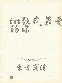 txt致我最爱的你