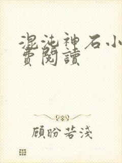 混沌神石小说免费阅读