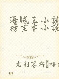 海贼王小说排行榜完本小说