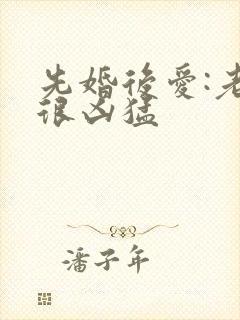 先婚后爱:老公很凶猛