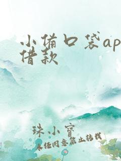 小备口袋app借款