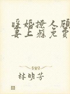 暖婚撩人顾少宠妻上瘾免费阅读