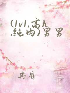 (1v1,高h,纯肉)男男