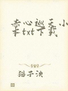 赤心巡天小说完本txt下载