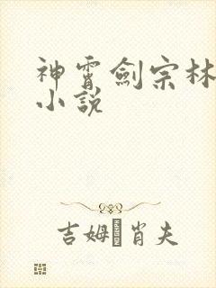 神霄剑宗林枫的小说