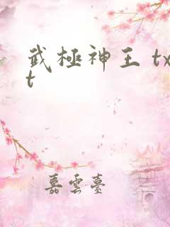 武极神王 txt