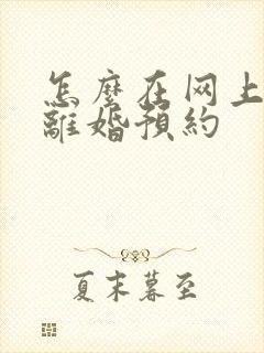 怎么在网上办理离婚预约