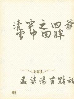 清穿之四爷宠妃 雪中回眸