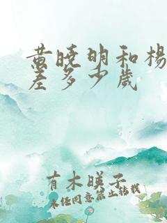 黄晓明和杨颖相差多少岁