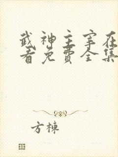 武神主宰在线观看免费全集