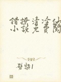 错撩清冷仙君后小说免费阅读