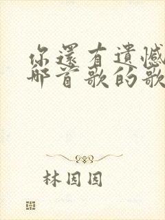 你还有遗憾吗是哪首歌的歌词