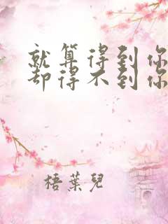 就算得到你的人却得不到你的心