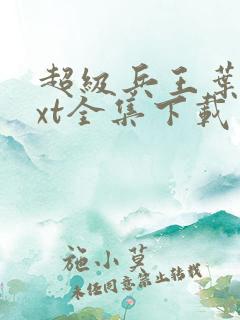 超级兵王叶谦txt全集下载