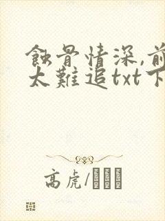 蚀骨情深,前妻太难追txt下载