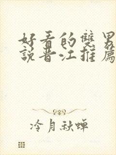 好看的双男主小说晋江推荐