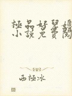 极品好儿媳老秦小说免费阅读