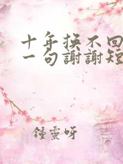 十年换不回你的一句谢谢短剧免费观看