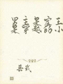 男主是宸王女主是穿越的小说