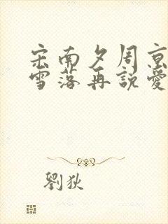 宋南夕周京泽《雪落再说爱你》