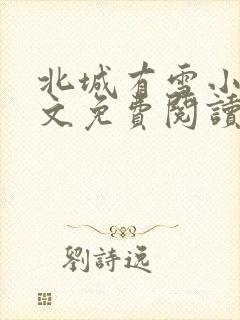 北城有雪小说全文免费阅读无弹窗