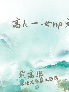 高h一女np文