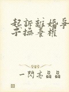 起诉离婚争议孩子抚养权